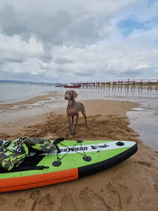 Tabla Paddle Surf Completa con Accesorios