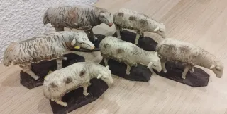 Ovejas Belén Barro, rebaño