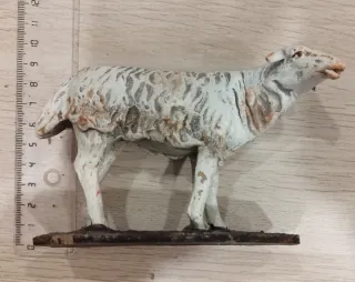 Ovejas Belén Barro, rebaño