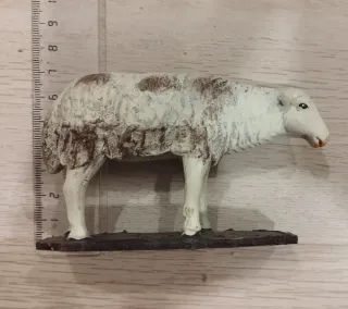 Ovejas Belén Barro, rebaño