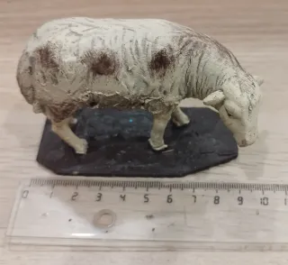 Ovejas Belén Barro, rebaño