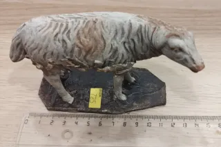 Ovejas Belén Barro, rebaño