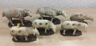 Ovejas Belén Barro, rebaño