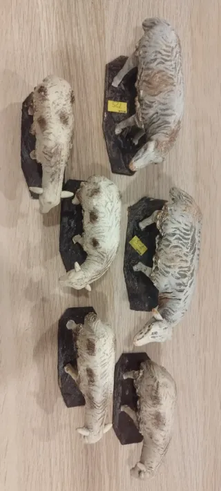 Ovejas Belén Barro, rebaño