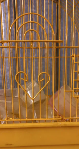 Jaulas para pájaros (periquito, canario, agaporni)