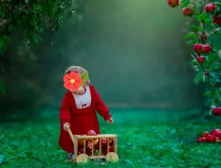 Carrito de madera para sesion de fotos