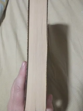 El misterio de la peregrina