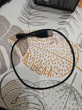 Reloj Garmin Fenix 6 Negro