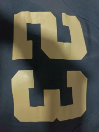 Sudadera Rams 23 Gris y Dorada