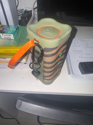 Altavoz Skullcandy Terrain