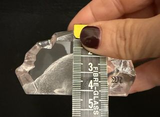 Statuetta Cristallo Mats Jonasson Foca