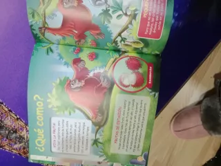 El Orangután de Borneo .