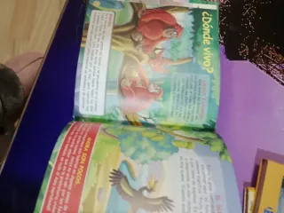 El Orangután de Borneo .