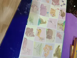 El Orangután de Borneo .