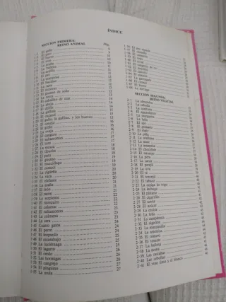 Las 323 adivinanzas más famosas (Spanish Edition)