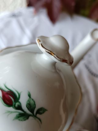 Caffettiera e Lattiera Porcellana Rose