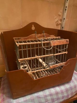 Jaula pájaro casa caza jilguero canario animales