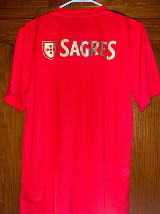 Camiseta Benfica 2020/21