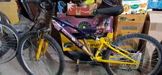 Bicicleta Montaña White Rock