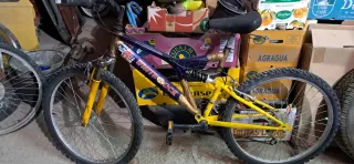 Bicicleta Montaña White Rock