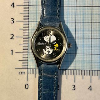 Watch Armitron Snoopy & Woodstock con Peanuts