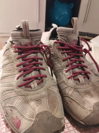 Zapatillas The North Face Gore-Tex Gris/Rosa