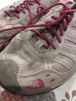 Zapatillas The North Face Gore-Tex Gris/Rosa