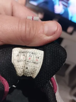 Zapatillas The North Face Gore-Tex Gris/Rosa