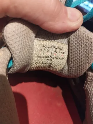 Zapatillas The North Face Gore-Tex Gris/Rosa