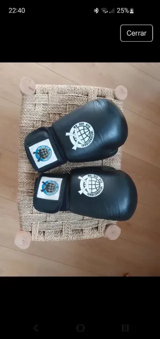 Guantes de boxeo MU-GEN-RYU