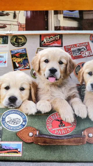 Puzzle Educa 500 piezas Cachorros Viajeros