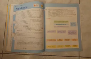 Libro scolastico di geografia Glocal