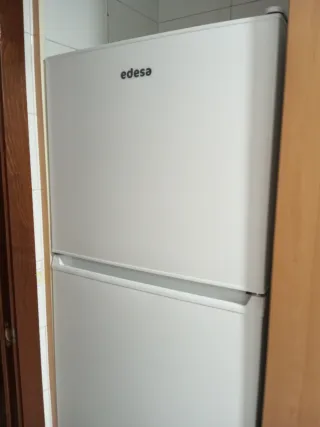 Frigorifero Edesa bianco con congelatore