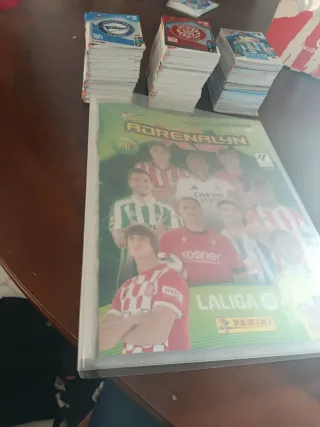 Cromos Adrenalyn XL 24-25