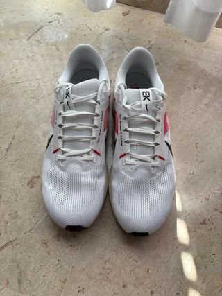 Nike Pegasus Kipchoge Edición Especial