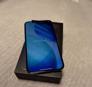 iPhone 12 Pro Max Grigio Siderale