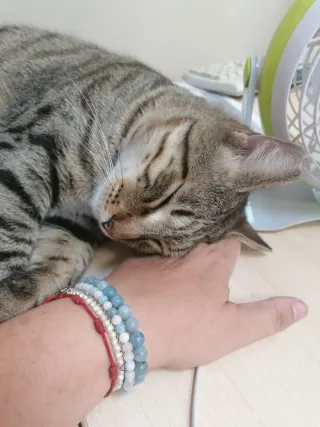 Pulseras, collares y anillos de Piedras Naturales.