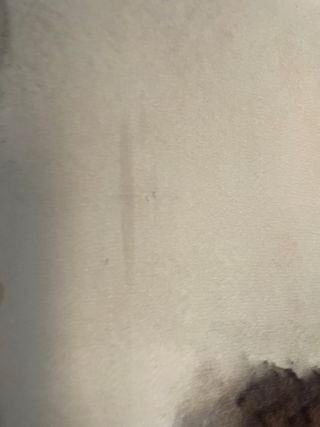 Camisa Zara Estampada Talla M