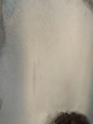 Camisa Zara Estampada Talla M