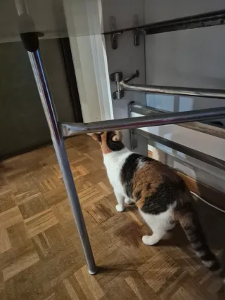 Mesa plegable blanca