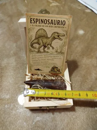 Diente Fosil Espinosaurio 6 cm Caja Regalo