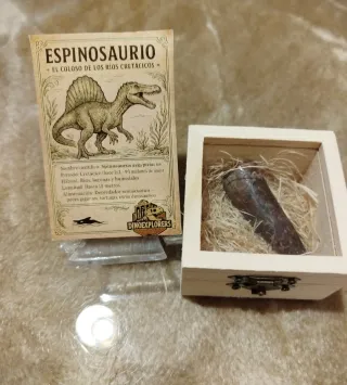 Diente Fosil Espinosaurio 6 cm Caja Regalo