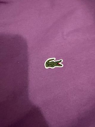 Conjunto Chándal Lacoste Morado
