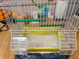 2 gabbie per uccelli (1 grande, 1 normale)