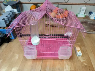 2 gabbie per uccelli (1 grande, 1 normale)