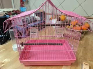 2 gabbie per uccelli (1 grande, 1 normale)