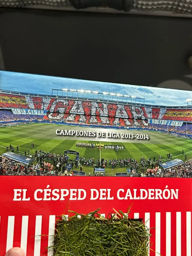Césped original del estadio Calderón 2013-2014