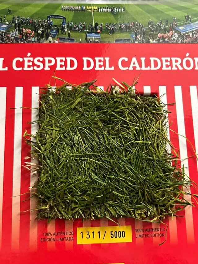 Césped original del estadio Calderón 2013-2014