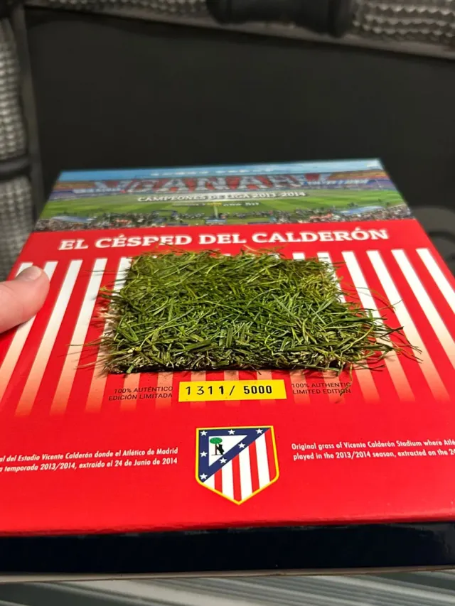 Césped original del estadio Calderón 2013-2014