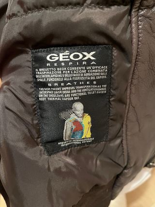 Cazadora Piel Geox Hombre Marrón